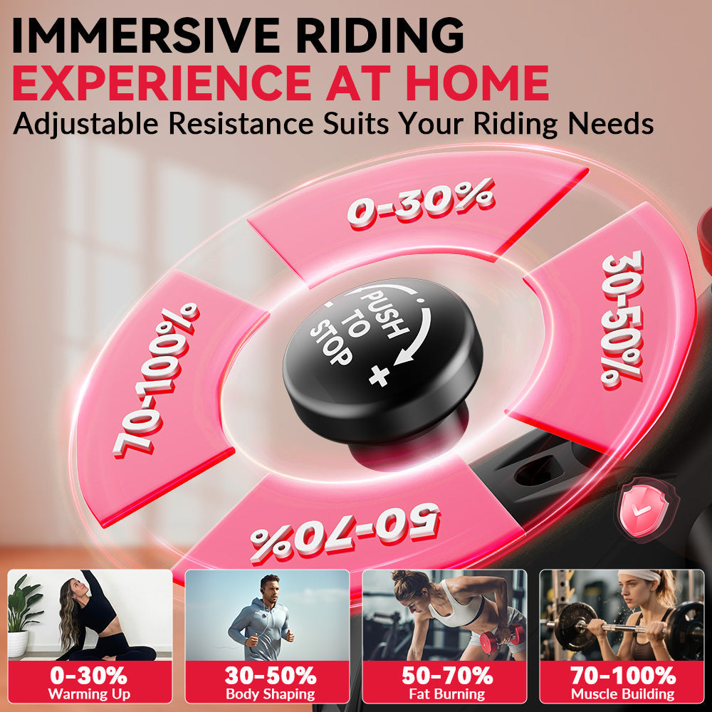 Stationary Exercise Bike D1