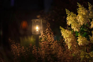Eros Hi 12V - Light Pro - Outdoor lighting