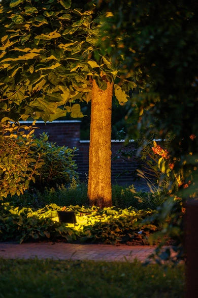 Avior 12V - Light Pro - Outdoor lighting