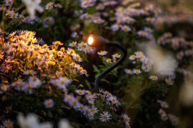 Xible 12V - Light Pro - Outdoor lighting