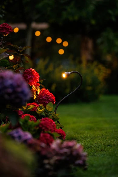Xible 12V - Light Pro - Outdoor lighting