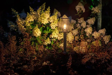 Eros Lo 12V - Light Pro - Outdoor lighting