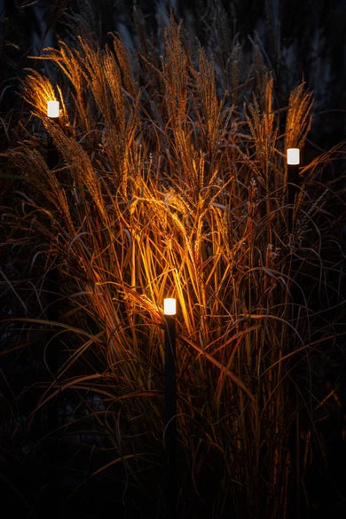 Erba 12V (Set of 3) - Light Pro - Outdoor lighting