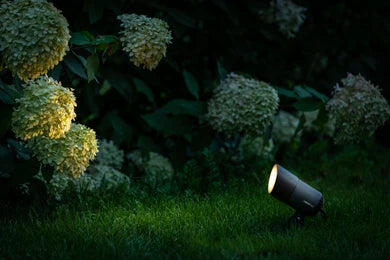 Castor 4 12V - Light Pro - Outdoor lighting